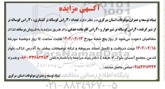 مزایده فروش 30 راس  گوساله نر کشتاری...