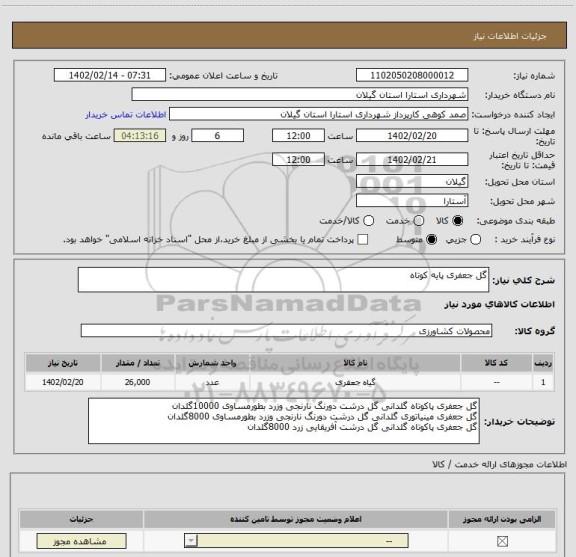 استعلام گل جعفری پایه کوتاه