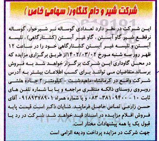 مزایده فروش تعدادی گوساله نر شیرخوار، گوساله نر قطع شیر گاو آبستن، گاو غیرآبستن (کشتارگاهی)،...