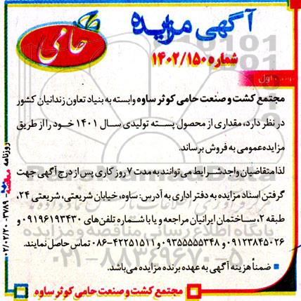 مزایده مقداری از محصول پسته تولیدی