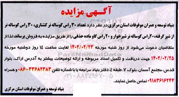 مزایده فروش 30 راس  گوساله نر کشتاری...