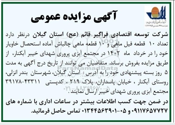 مزایده تعداد 10 قطعه فیل ماهی و 10 قطعه چالباش آماده استحصال خاویار