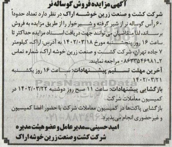 مزایده فروش گوساله نر 