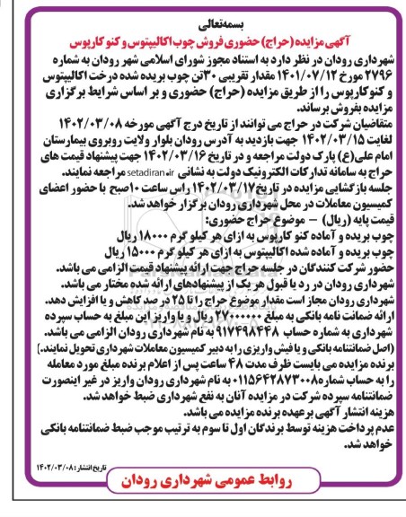 مزایده (حراج) حضوری فروش چوب کالیپتوس و کنوکارپوس