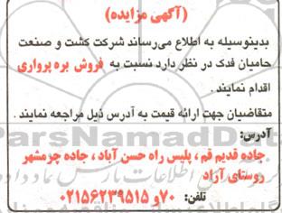 مزایده فروش بره پرواری 