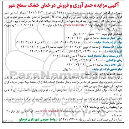 آگهی مزایده جمع آوری و فروش درختان خشک سطح شهر
