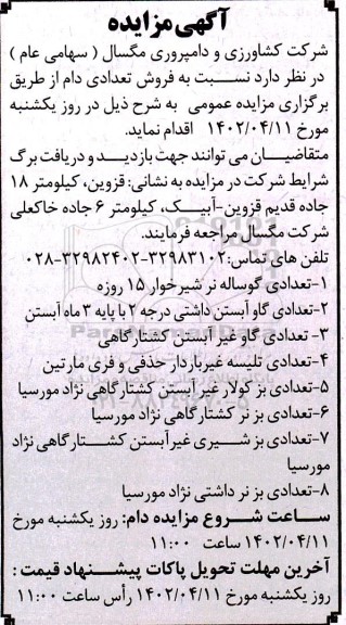 مزایده فروش تعدادی دام