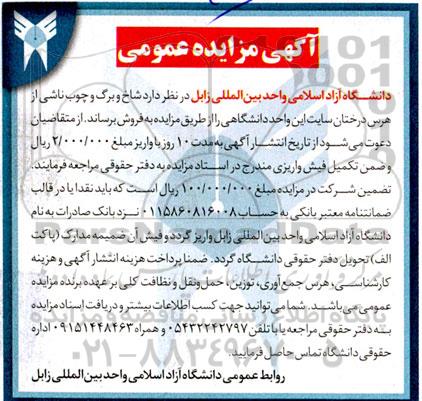 مزایده شاخ و برگ و چوب ناشی از هرس درختان