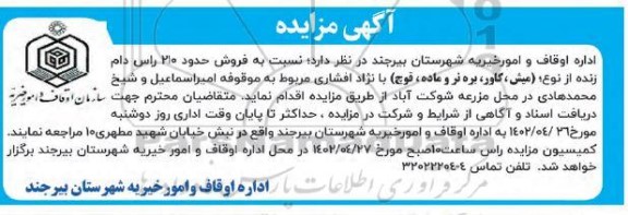 مزایده فروش حدود 210 راس دام زنده از نوع (میش، گاور، بره نر و ماده، قوچ)