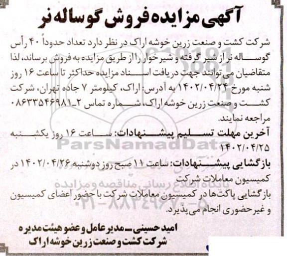 مزایده فروش گوساله نر 