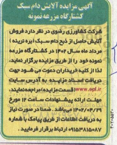 مزایده آلایش دام سبک کشتارگاه مزرعه نمونه