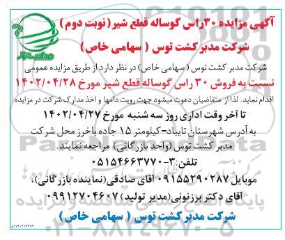 آگهی مزایده 30 راس گوساله قطع شیر - نوبت دوم