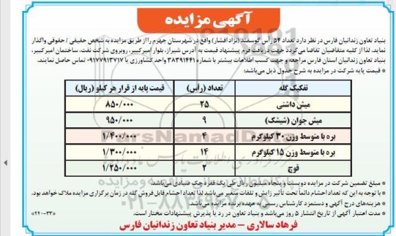 مزایده تعداد 54 راس گوسفند (نژاد افشار)