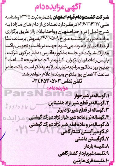 مزایده فروش تعدادی از دام های مازاد