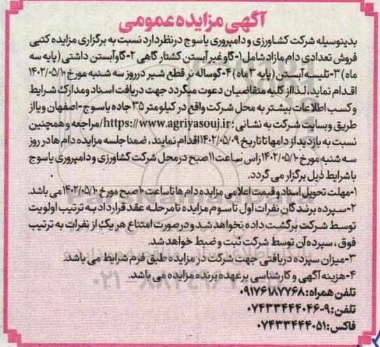 مزایده فروش تعدادی دام مازاد