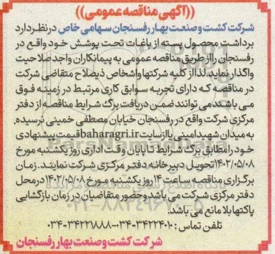مناقصه برداشت محصول پسته از باغات