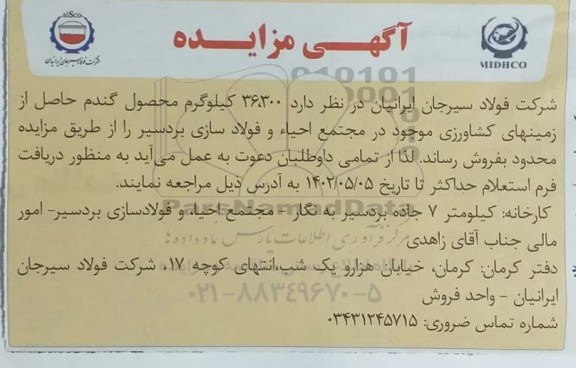 مزایده 36.300 کیلوگرم محصول گندم 