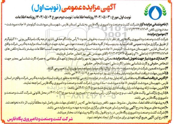 مزایده فروش حدود 90 راس ماده گاو حذفی نابارور درجه یک با میانگین وزنی 700 کیلوگرم