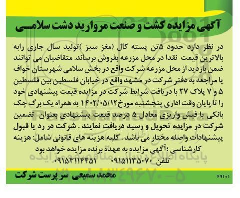 مزایده حدود 5 تن پسته کال (مغز سبز)
