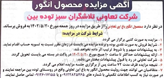 مزایده محصول انگور باغ