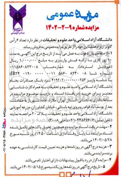 مزایده تعداد 6 راس گاو نر از نژاد هلشتاین