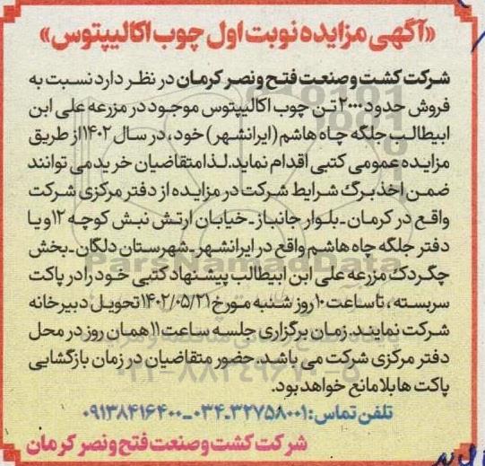 مزایده فروش چوب اکالیپتوس