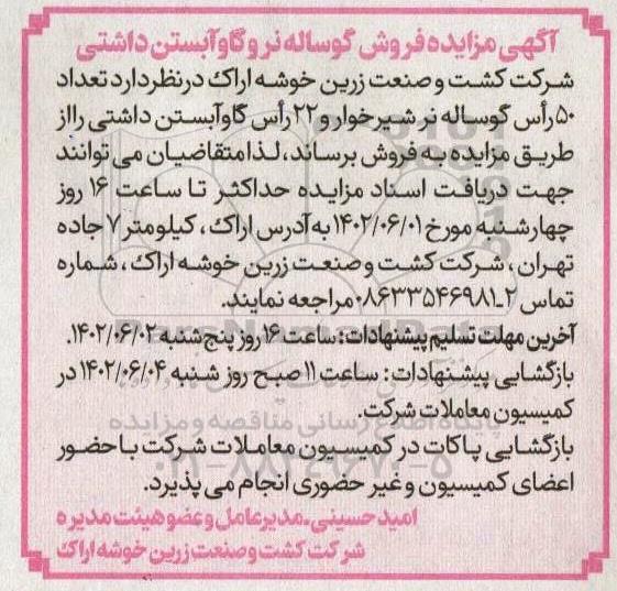 مزایده فروش گوساله نر و گاو آبستن داشتی