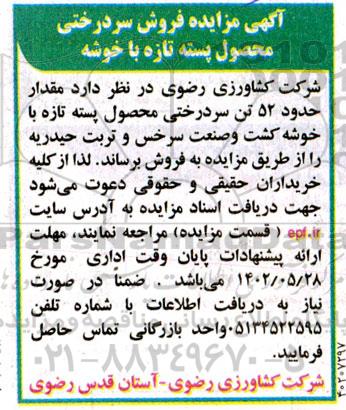 مزایده فروش سردرختی محصول پسته تازه با خوشه
