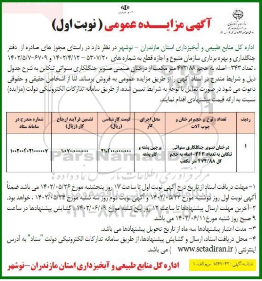 مزایده درختان صنوبر جنگلکاری سنواتی