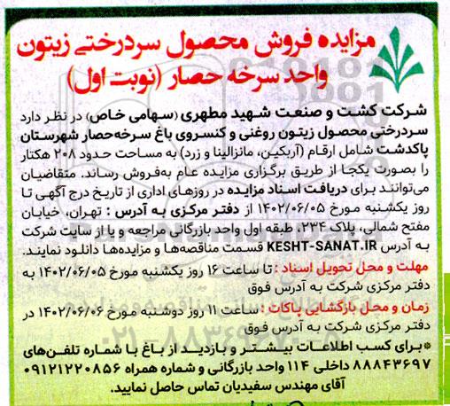 مزایده فروش محصول سردرختی زیتون