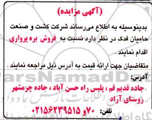 مزایده فروش بره پرواری 