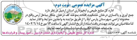 مزایده جمع آوری و پاکسازی درختان خشکیده، افتاده، سوخته کف درختان جنگل ساحل نوبت دوم