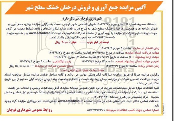 مزایده جمع آوری و فروش درختان خشک سطح شهر