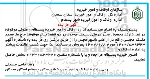مزایده محصول سردرختی سیب