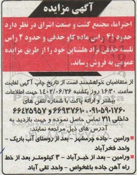 مزایده فروش حدود 41 راس ماده گاو حذفی و حدود 2 راس تلیسه حذفی نژاد هلشتاین