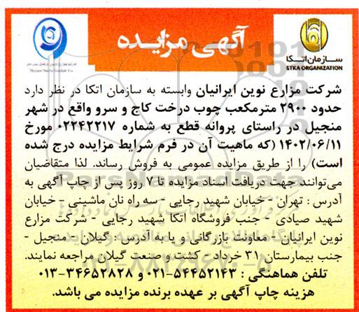 مزایده فروش 2900 مترمکعب چوب درخت کاج و سرو