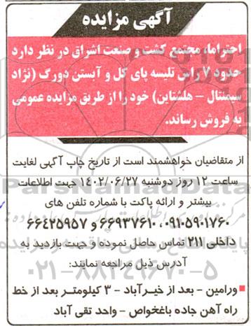 مزایده حدود 7 راس تلیسه پای کل و آبستن دورگ