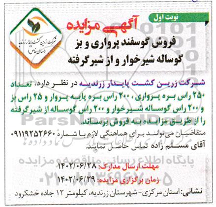 مزایده فروش گوسفند پرواری و بز گوساله شیرخوار و از شیر گرفته
