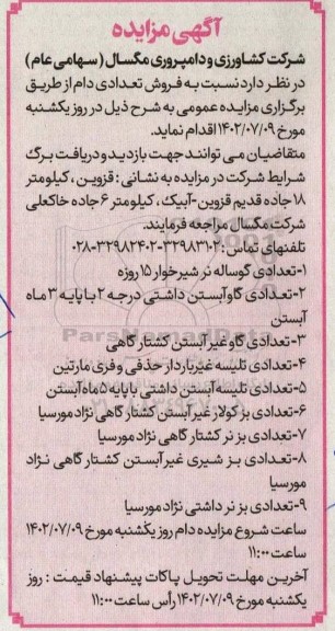 مزایده فروش تعدادی دام