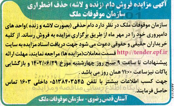 مزایده فروش دام (زنده و لاشه) حذف اضطراری