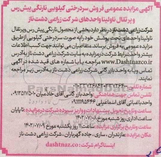 مزایده فروش سردرختی کیلویی نارنگی پیش رس و پرتقال 
