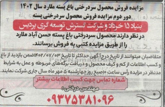 مزایده فروش محصول سردرختی باغ پسته