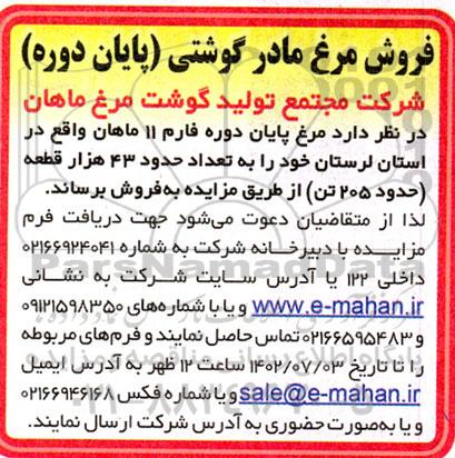 مزایده فروش مرغ مادر گوشتی (پایان دوره)