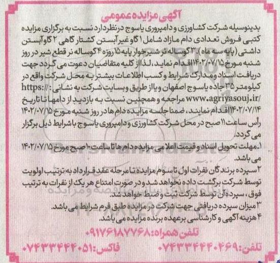 مزایده فروش تعدادی دام مازاد