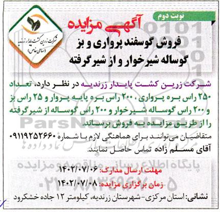 مزایده فروش گوسفند پرواری و بز گوساله شیرخوار و از شیر گرفته نوبت دوم