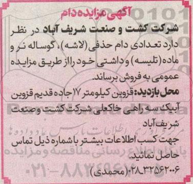 مزایده فروش دام حذفی (لاشه)، گوساله نر و ماده (تلیسه) و داشتی