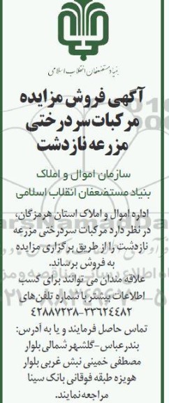 فروش مزایده مرکبات سردرختی مزرعه