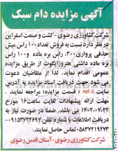 مزایده دام سبک