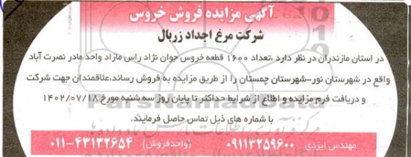 مزایده فروش خروس 