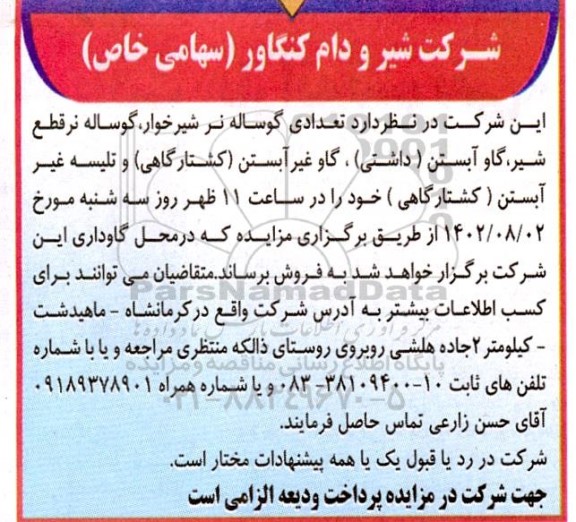 مزایده فروش تعدادی گوساله نر شیرخوار، گوساله نر قطع شیر،...